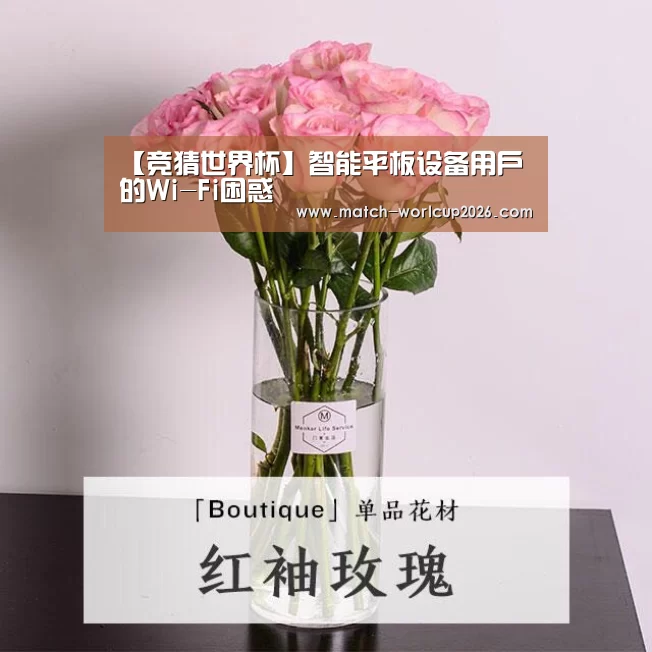 【竞猜世界杯】智能平板设备用户的Wi-Fi困惑(图1) 竞猜世界杯